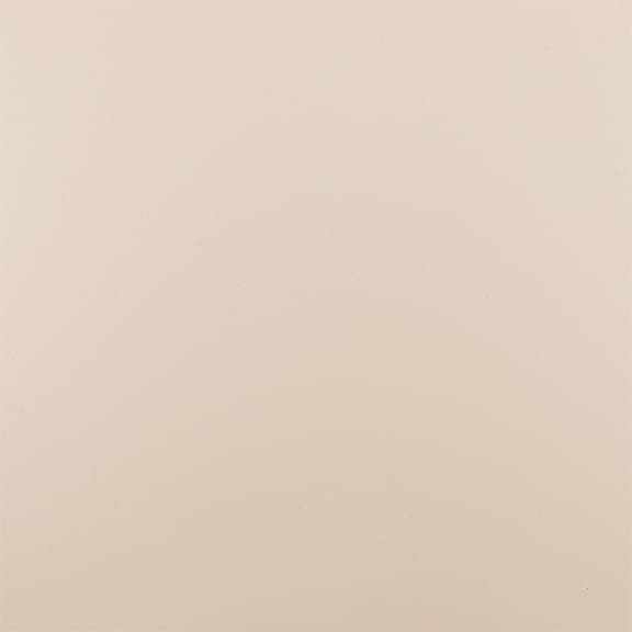 finishes 0009 AZ53 Sand Dollar - Sand Dollar