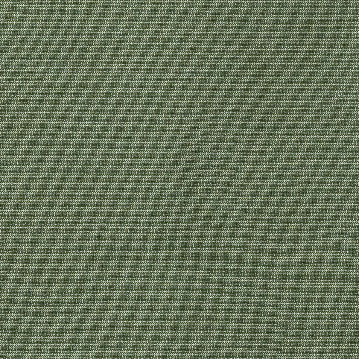 O.W. Lee's Sunbrella Fabric Bliss Aloe