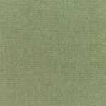 Canvas Fern