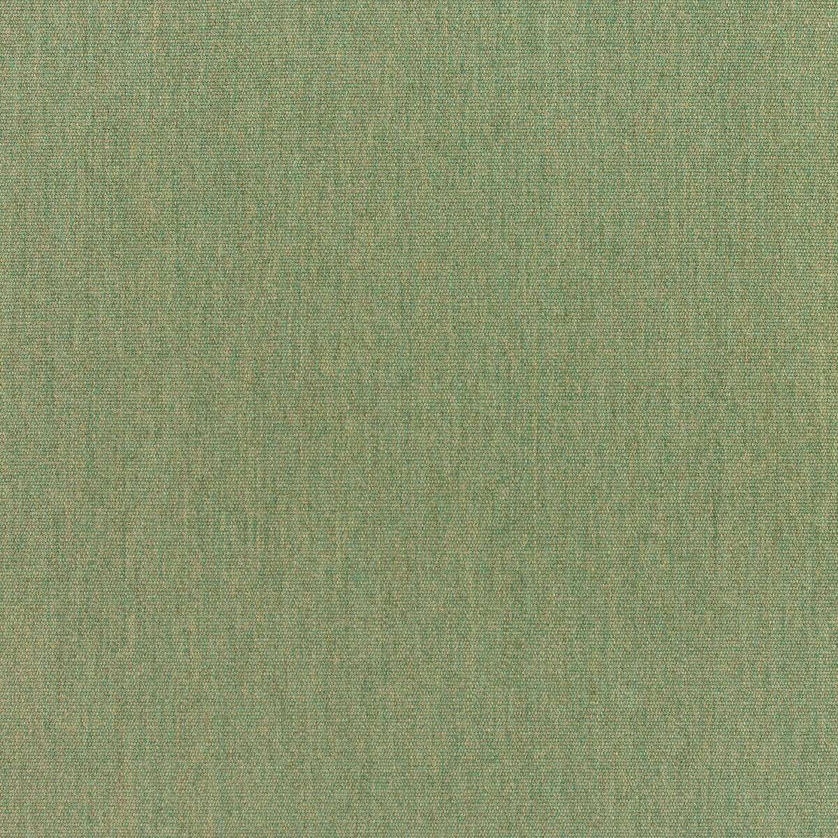 O.W. Lee's Sunbrella Fabric Canvas Fern