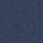 Hayden Navy